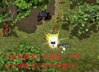 ����˽����������������Ӧ�԰汾������������ս��