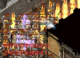 ���Ϊ������Ϸ���ӳ���������ܽű���