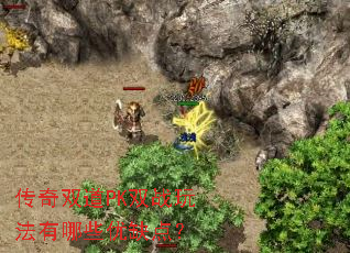 ����˫��PK˫ս�淨����Щ��ȱ�㣿