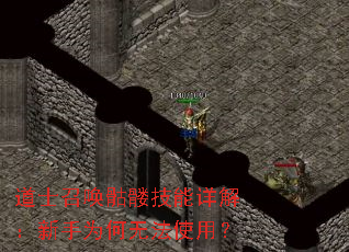 ��ʿ�ٻ����ü�����⣺����Ϊ���޷�ʹ�ã�