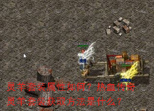 ������װ������Σ���Ѫ����������װ��ȡ������ʲô��