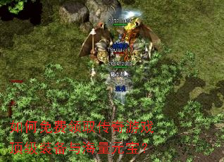 ��������ȡ������Ϸ����װ���뺣��Ԫ����