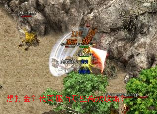 ���𣿴��������Щ��Ч���ԣ�