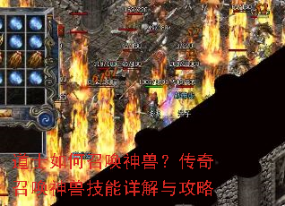 ��ʿ����ٻ����ޣ������ٻ����޼�������빥��