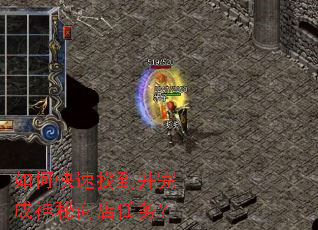 ��ο����ҵ�����������̵�����