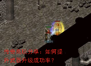 ����������������������������ɹ��ʣ�