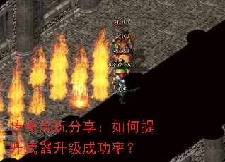 ����������������������������ɹ��ʣ�