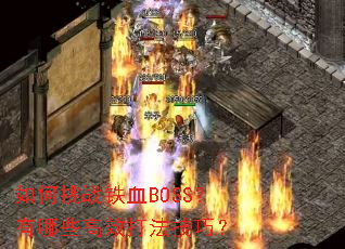 �����ս��ѪBOSS������Щ��Ч�򷨼��ɣ�