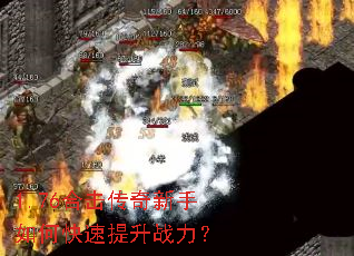 1.76�ϻ�����������ο�������ս����