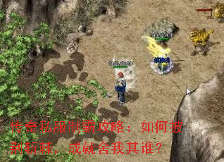 传奇私服制霸攻略:如何披荆斩棘,成就舍我其谁? 传奇私服制霸攻略:如何披荆斩棘,成就舍我其谁?