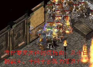 �����������ٳ�ָ�ϣ���С�׵�������ʮ��ʮ��������;��