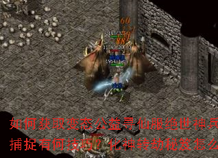 ��λ�ȡ��̬����Ѱ�ɷ������������貶׽�кμ��ɣ�����ת��������ô������