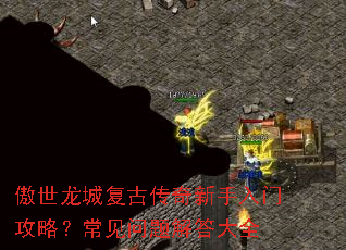 �������Ǹ��Ŵ����������Ź��ԣ������������ȫ