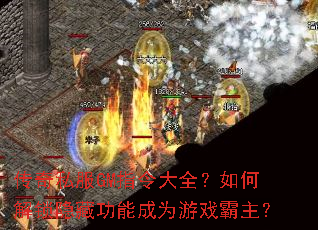 ����˽��GMָ���ȫ����ν������ع��ܳ�Ϊ��Ϸ������