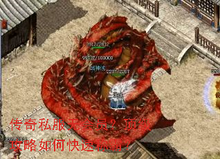 ����˽���޻�Ա������������ο��ٳưԣ�