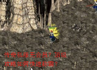 ����˽���޻�Ա������������ο��ٳưԣ�