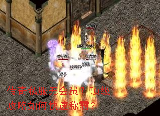 ����˽���޻�Ա������������ο��ٳưԣ�