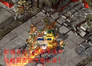 �·���������ο��ٳ弶�ưԱ�̬����˽����