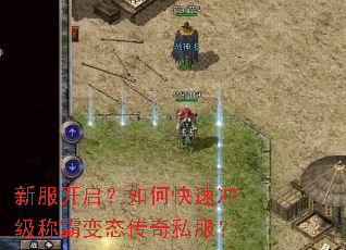 �·���������ο��ٳ弶�ưԱ�̬����˽����