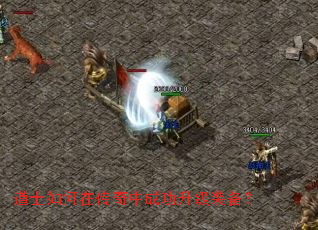 ��ʿ����ڴ����гɹ�����װ����