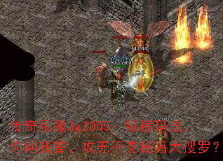 ����˽��3g2005���ݺ��귨�������Ҵ𣬹��޲����ؼ������ޣ�