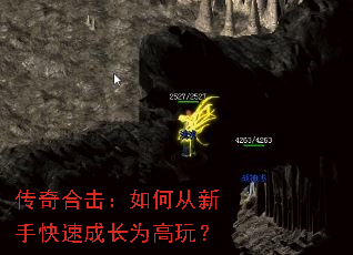 ����ϻ�����δ����ֿ��ٳɳ�Ϊ���棿