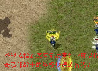 ʥս��ָ�����ж������������Ǵ���˽��սʿ���ռ�����װ����