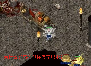 Ϊʲôƶ��ִܹ���ְҵ��