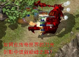 ����ڴ�������ĵ��⽣Ӱ�гɾ��۷�֮·��