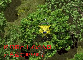 ��֪��ʬ�������ھ�������������