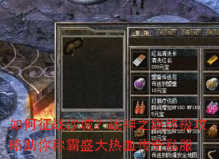 �����սɳ�ǣ�ս��֮·�ռ���������ư�ʢ����Ѫ����˽��