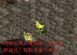 ����˽������ָ�ϣ�������αܿӣ����ɿ������ٿ�