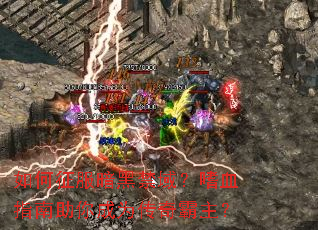 ����������ڽ�����Ѫָ�������Ϊ���������