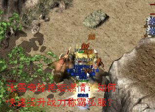 ��ѩ��Ե����ȼ�飺��ο�������ս���ư�˽����