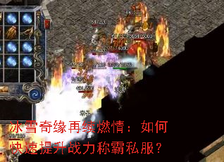 ��ѩ��Ե����ȼ�飺��ο�������ս���ư�˽����