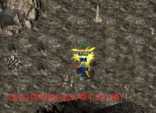 ��ο��ٻ����Ѫ�����е����ƣ�