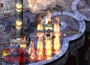 С7���棺������ο�������ս����