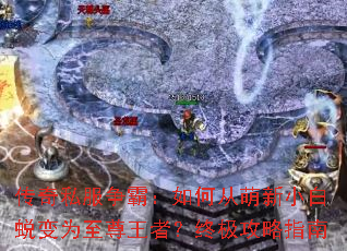 ����˽�����ԣ���δ�����С���ɱ�Ϊ�������ߣ��ռ�����ָ��