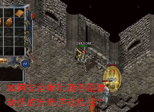 ��ΰ�ȫ������������ٳֵĴ�����Ϸ˽����