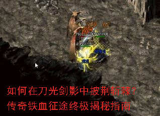 ����ڵ��⽣Ӱ������ն����������Ѫ��;�ռ�����ָ��