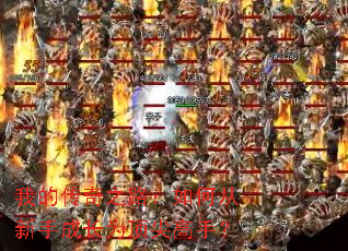 �ҵĴ���֮·����δ����ֳɳ�Ϊ������֣�