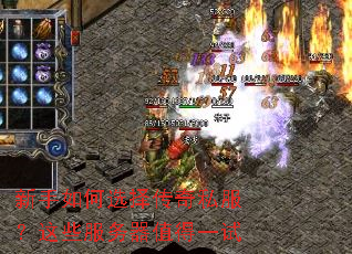 �������ѡ����˽������Щ������ֵ��һ��