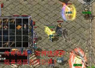 ����˽������ο��ٳ弶����ȡ������ʣ�