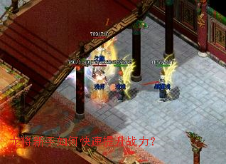 ����������ο�������ս����