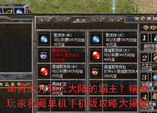 ��γ�Ϊ�귨��½�İ�������Ӣ���˽�ص����ֻ��湥�Դ����