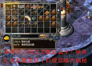 ��γ�Ϊ�귨��½�İ�������Ӣ���˽�ص����ֻ��湥�Դ����