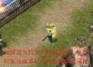 ��γ�Ϊ�귨��½�İ�������Ӣ���˽�ص����ֻ��湥�Դ����