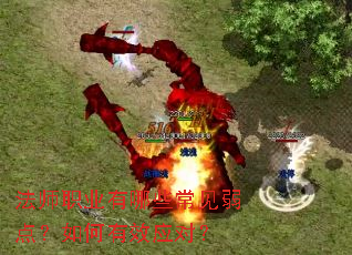 ��ʦְҵ����Щ�������㣿�����ЧӦ�ԣ�