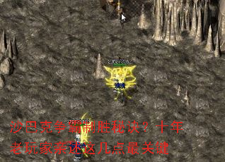 ɳ�Ϳ�������ʤ�ؾ���ʮ������������⼸����ؼ�