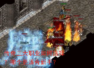 ��������ְҵ���ѡ���ĸ����ʺ����֣�